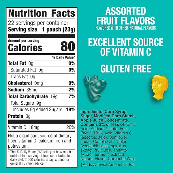 SCOOBY-DOO FRUIT FLAVORED SNACKS, GLUTEN FREE, KIDS SNACKS, VALUE PACK, 22 CT, 17.6 OZ