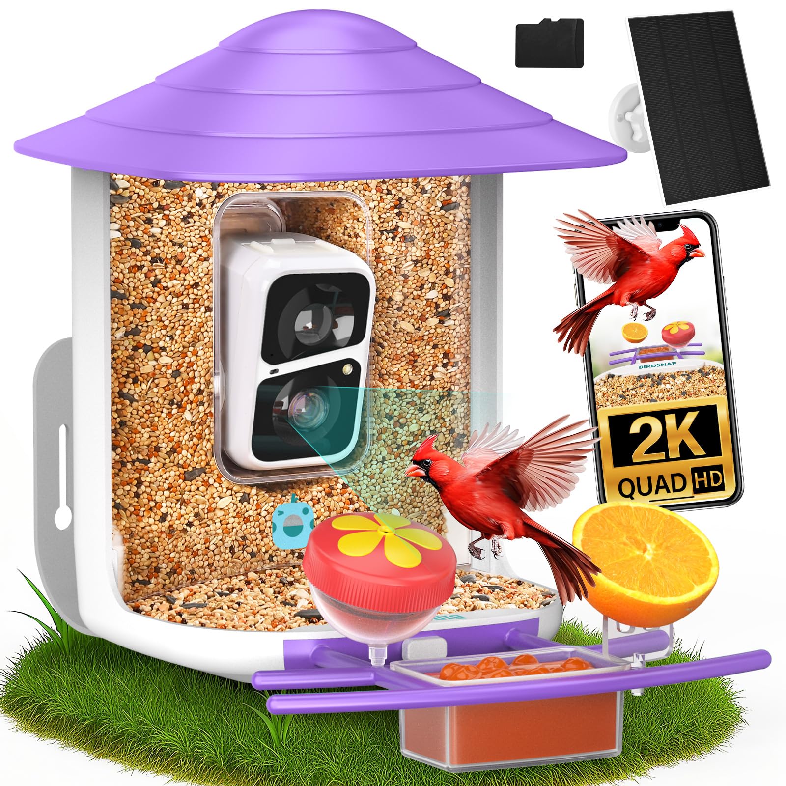 birdsnap® TUC Bird Feeder with Camera 2K HD, Solar Panel 32GB Card 4-in-1 Perch, 160°View Auto Detect & Notify AI Identify Video Bird Camera Wireless Outdoors Ideal Gift for Birds Lover Image