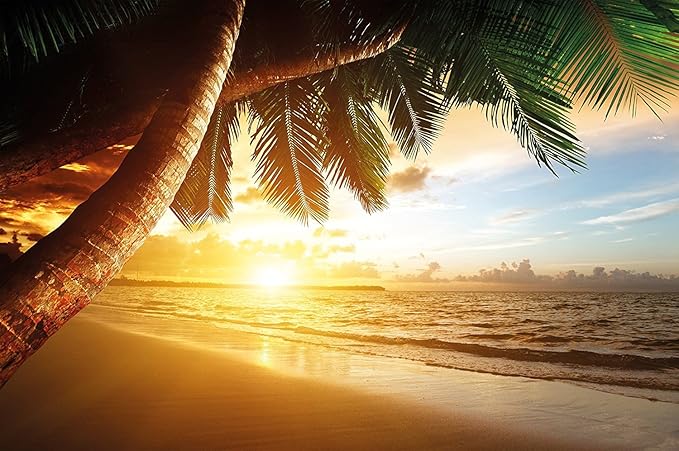 title=Poster Spiaggia Tramonto Quadro Murale Decorazione Sole Estate Caraibi Paesaggio