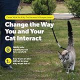 PetSafe Come With Me Kitty Harness and Bungee Leash Small Dusty Rose/Burgundy view 3