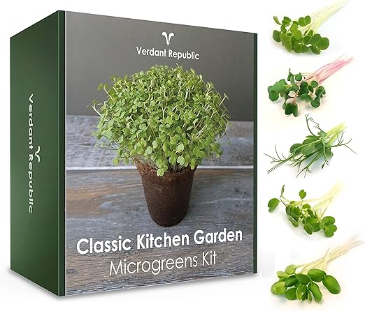 Huerta Clásica Kit de Cultivo de MICROGREENS para Cultivar tus ...