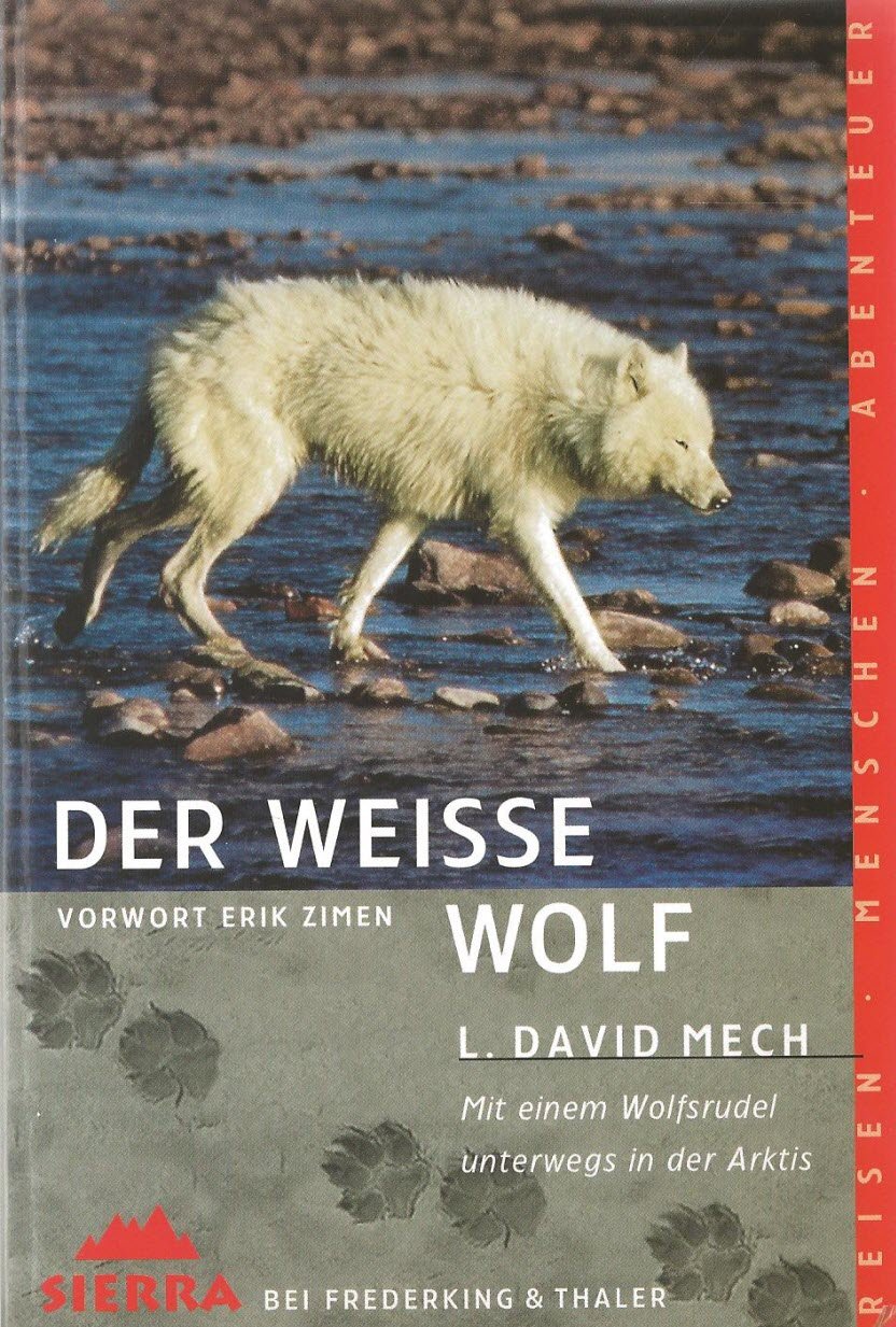 Der Weisse Wolf Mit Einem Wolfsrudel Unterwegs In Der Arktis Amazon De David L Mech Erik Zimen Peter Knecht Bucher