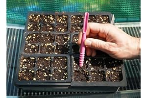 SPOKEN GARDEN Dibby Seed Sowing Garden Tool Dibber Planter Transplanter – Sow Seeds at the Right Depth – Easily Transplant Delicate Seedlings (Little Dibby) Pink