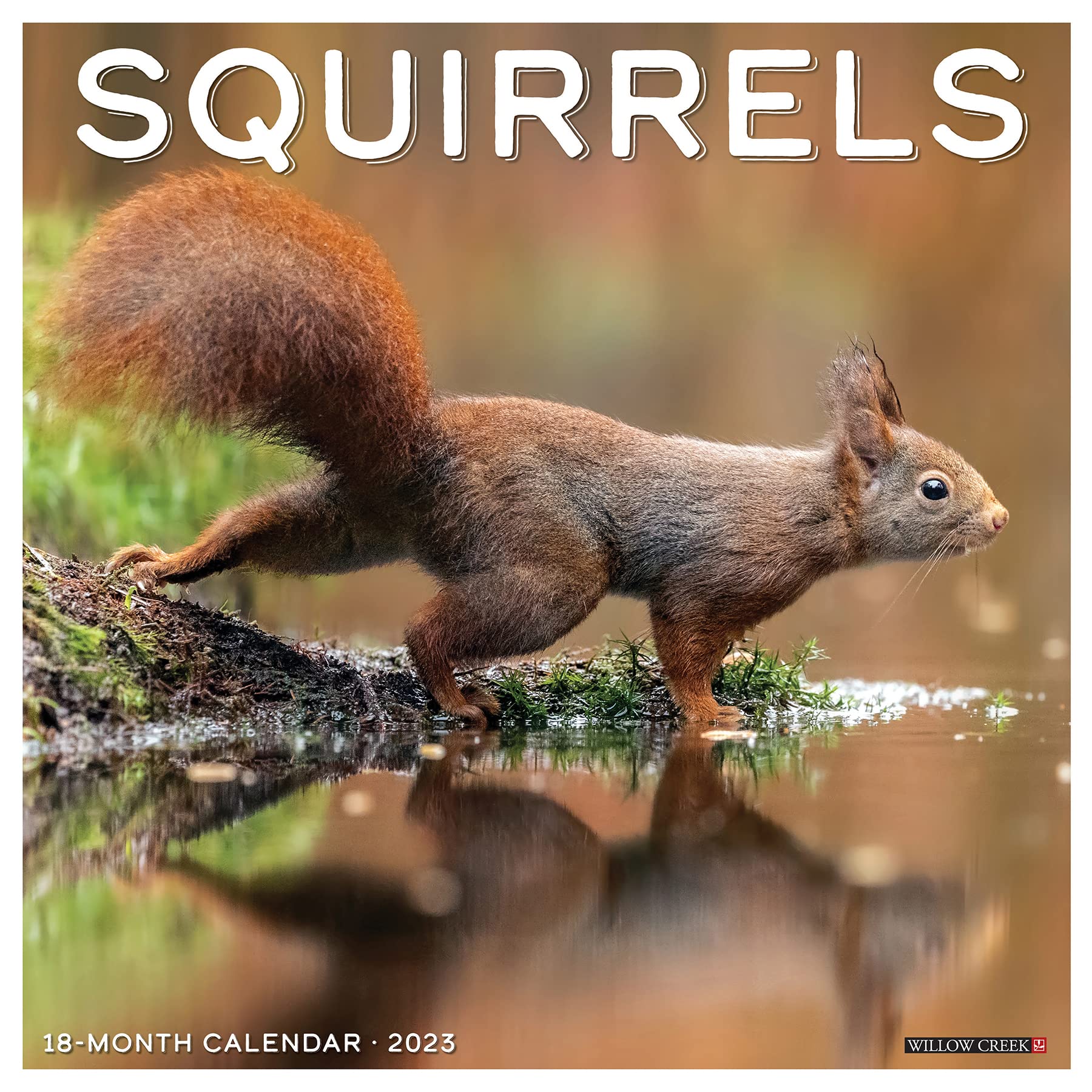 2023 Squirrel Calendar Squirrels 2023 Wall Calendar: Willow Creek Press: 9781549227806:  Amazon.com: Books