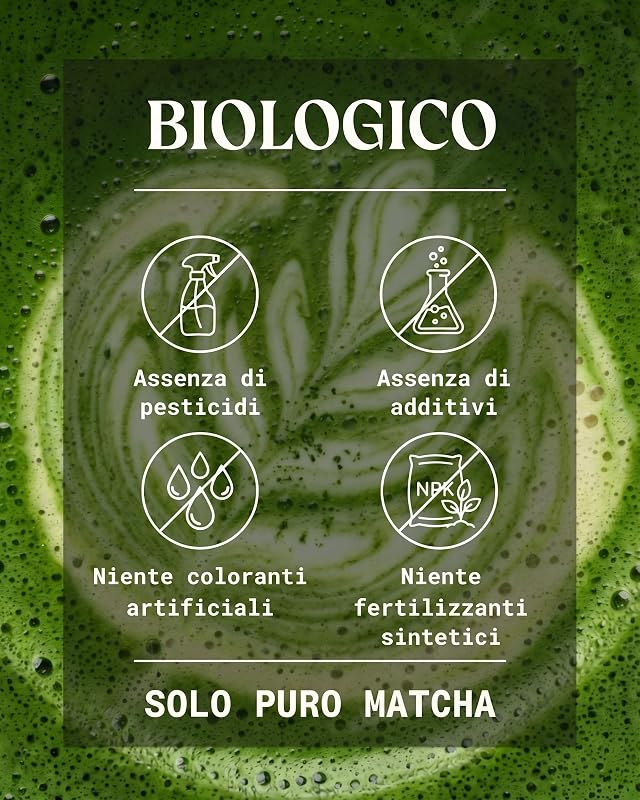 Matcha Premium Giapponese Bio in Polvere con L-Teanina