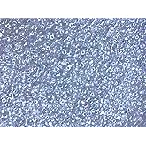 Seed Beads Size:11/0 50 gr / 1.76 oz (Crystal Iridescent)