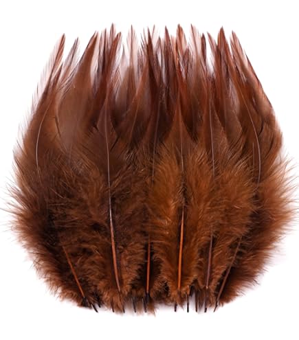 Amazon.com: Ballinger Brown Craft Feathers Bulk - 120Pcs 6-8inch
