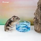 Niteangel Mount Fuji Glass Hamster Bowls with Raised Bottom 50 ml view 6