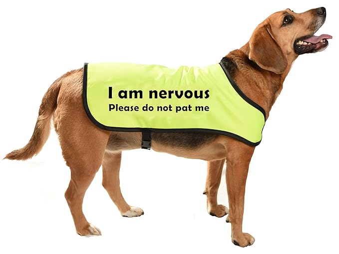 Yellow dog communicoat I am nervous please do not pat me for