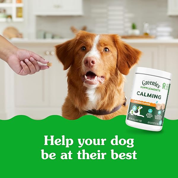 GREENIES SUPPLEMENTS CALMING CHEWS FOR DOGS CHICKEN FLAVOR, 14.7 OZ. CONTAINER OF 80 CT.