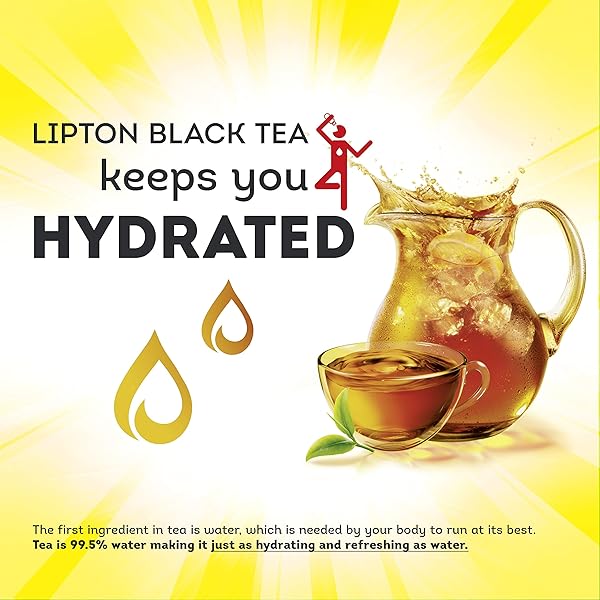LIPTON COLD BREW ICED TEA BAGS, FAMILY SIZE ZERO CALORIES, EASY-TO-MAKE WITH NO BOILING NEEDED, 22 TOTAL TEA BAGS