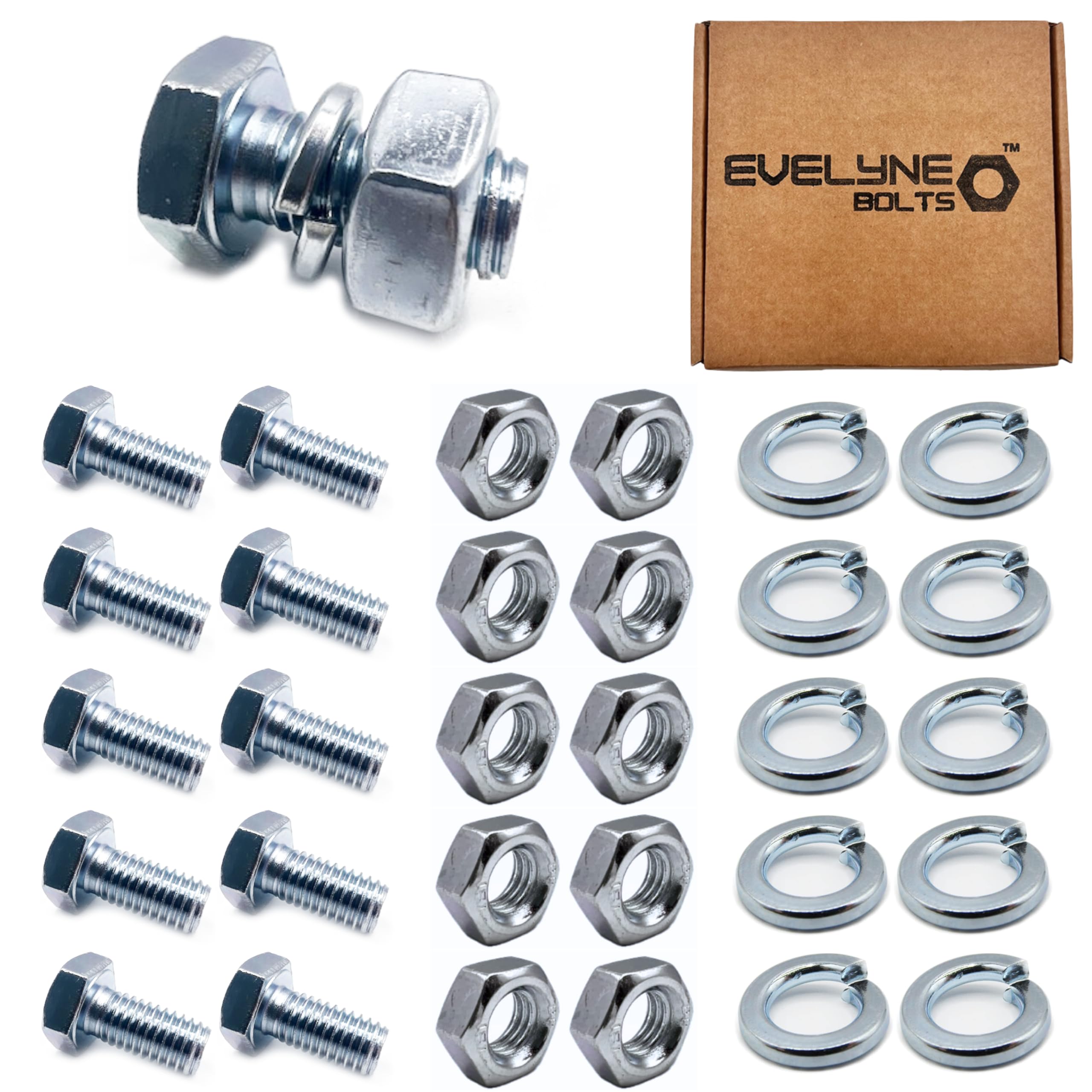 M10 Nut, Bolt & Spring Washer Set - 10 Pack: M10 Bolts, Nuts & Spring Washers