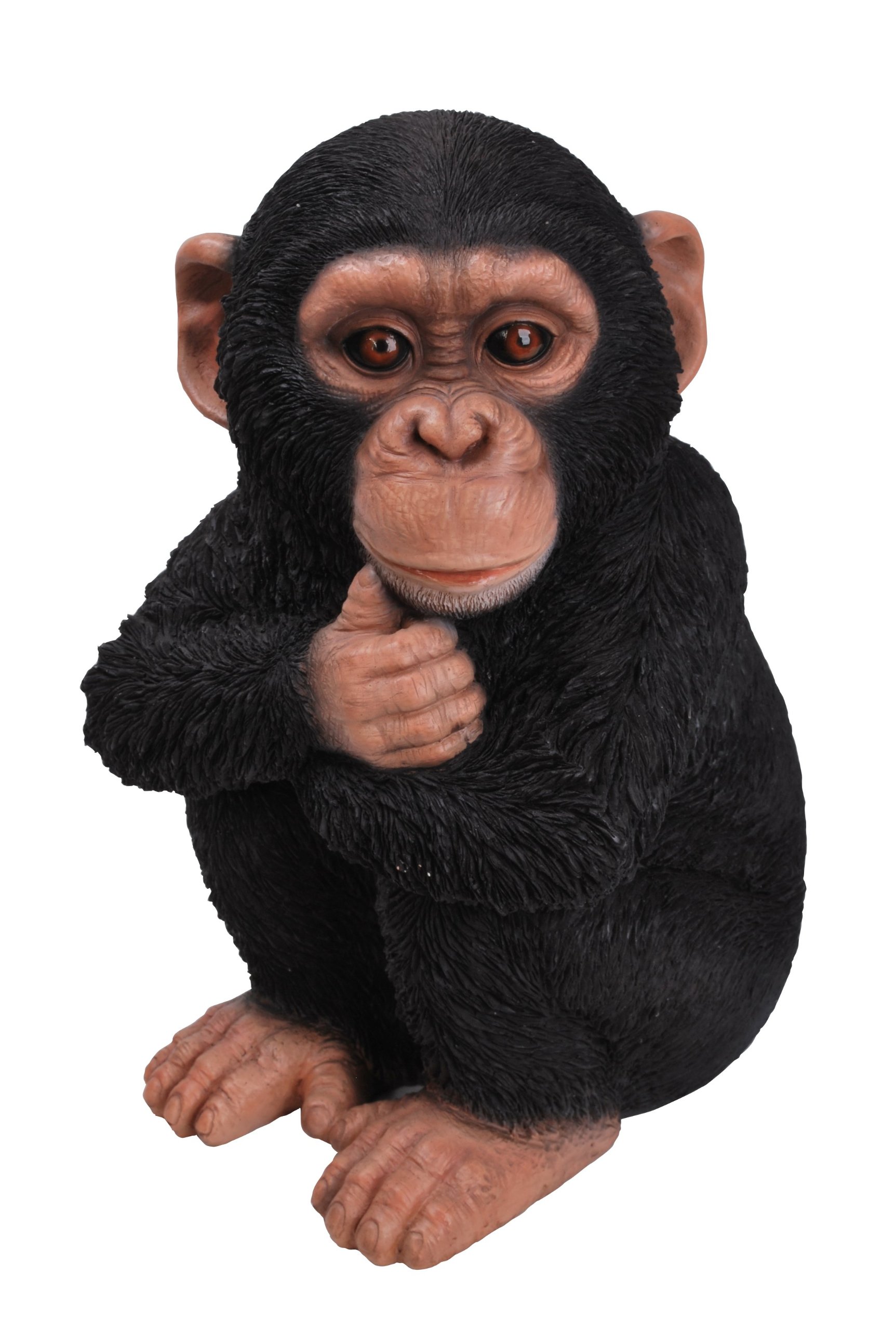 Vivid Arts Baby Chimpanzee Resin Ornament