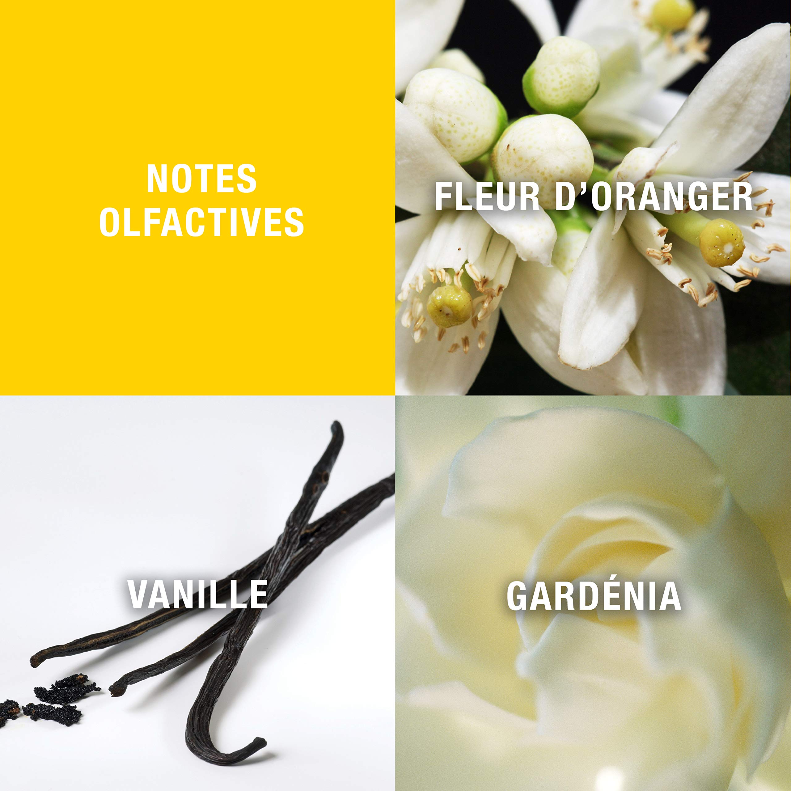 Giorgio Beverly Hills For Women, Eau De Toilette Spray, 1.7 fl oz