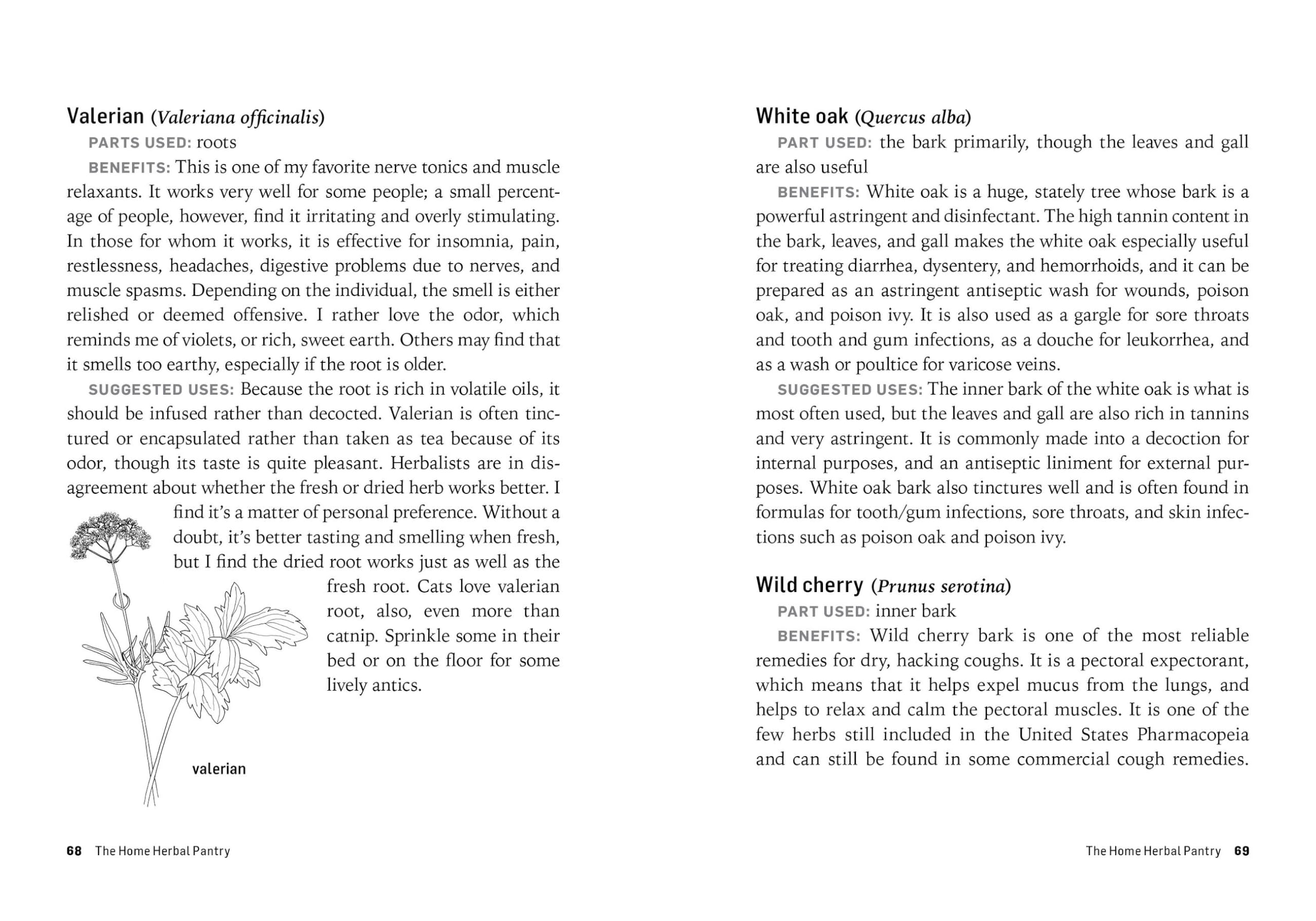 Herbs for Common Ailments: How to Make and Use Herbal Remedies for Home Health Care. A Storey BASICS® Title