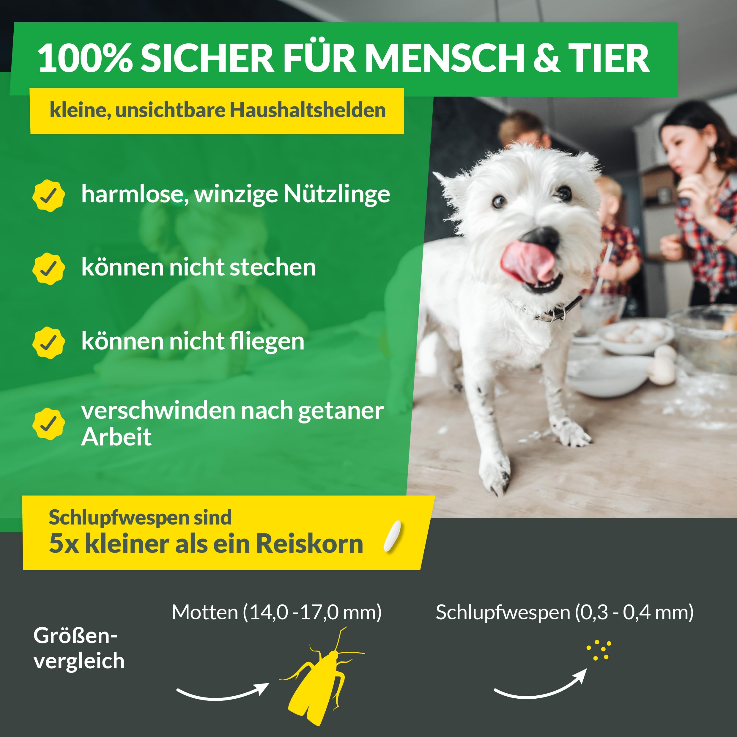 Hey Nature® Schlupfwespen gegen Lebensmittelmotten, 12 Karten (4 Karten à 3 Lieferungen). Effektiv Lebensmittelmotten bekämpfen mit Schlupfwespen gegen Motten. Alternativ zu Mottenkugeln & Mottenspray 7