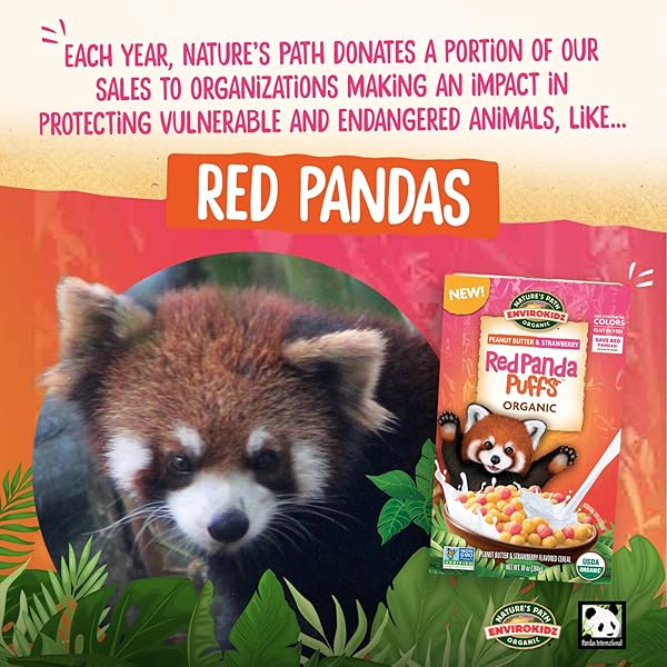 ENVIROKIDZ ORGANIC RED PANDA PUFFS CEREAL, 10 OZ (PACK OF 1), PEANUT BUTTER & STRAWBERRY, GLUTEN FREE, NON-GMO, BY NATURE’S PATH