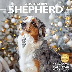 2025-2026 Wall Calendar Australian Shepherd Planner