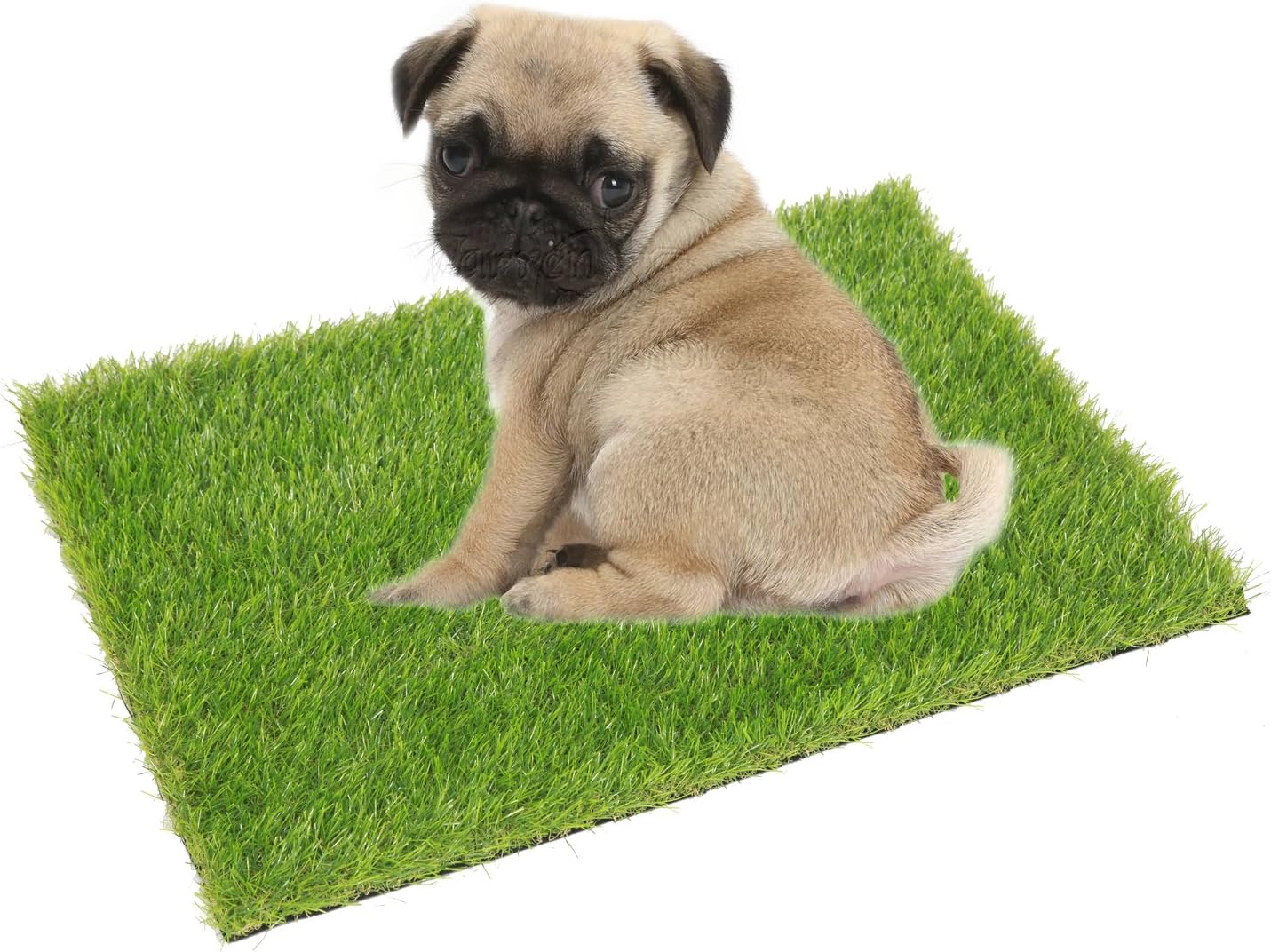 pet pee pad grass