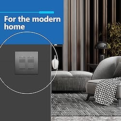 LIDER Brushed Finish Decorator Switch