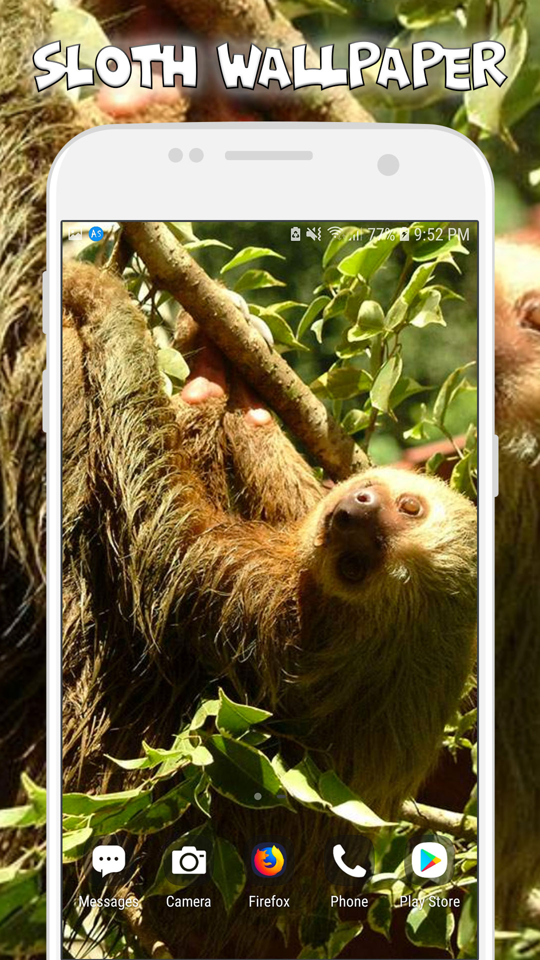 Funny Sloth Wallpaper - Cute Sloth Wallpapers For Girls And Sloth Backgrounds