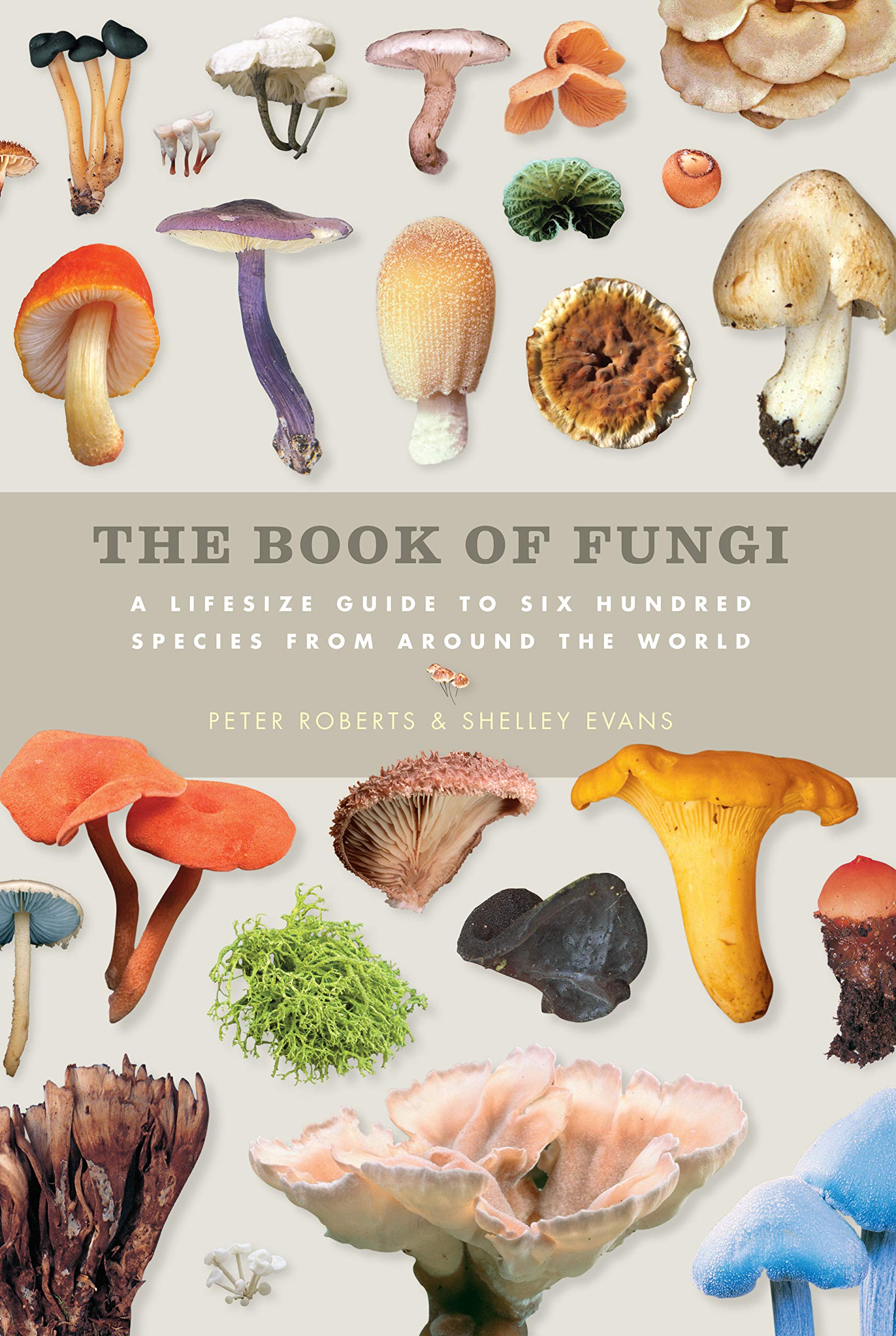 THE BOOK OF FUNGI 」世界きのこ大図鑑 オリジナル英語版 - 趣味 