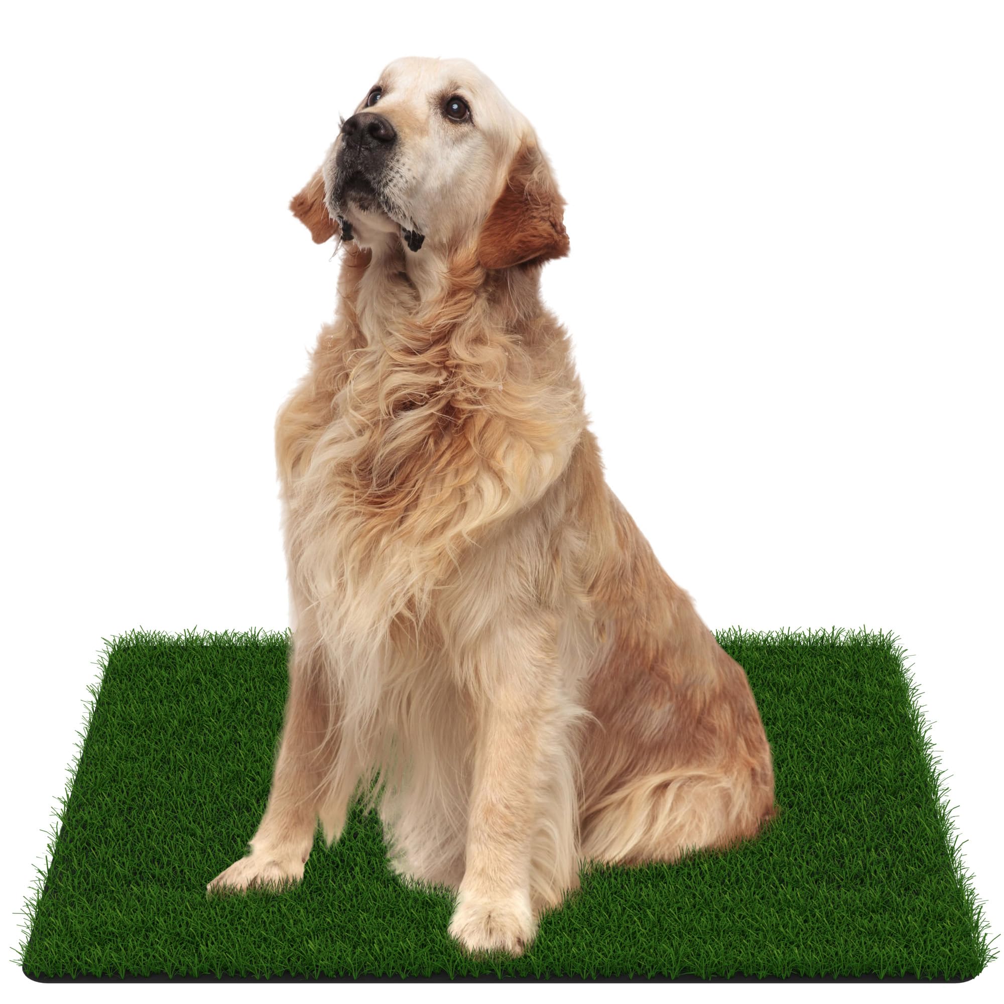 Photo 1 of MAYSHINE Artificial Grass Door Mat - for Entryway Indoor/Outdoor Green Turf Rug, Perfect for Dog Potty Training and Multi-Purpose Use 35x24 Inches