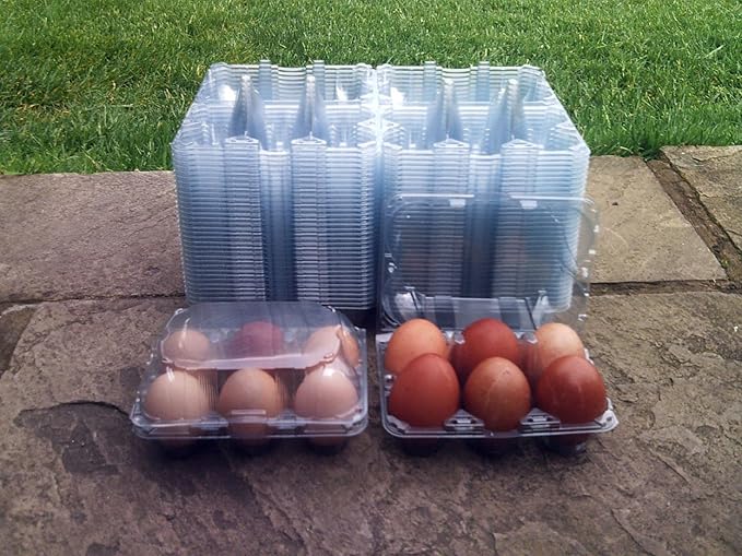 PLASTIC EGG BOXES X 50 Amazon.co.uk Pet Supplies