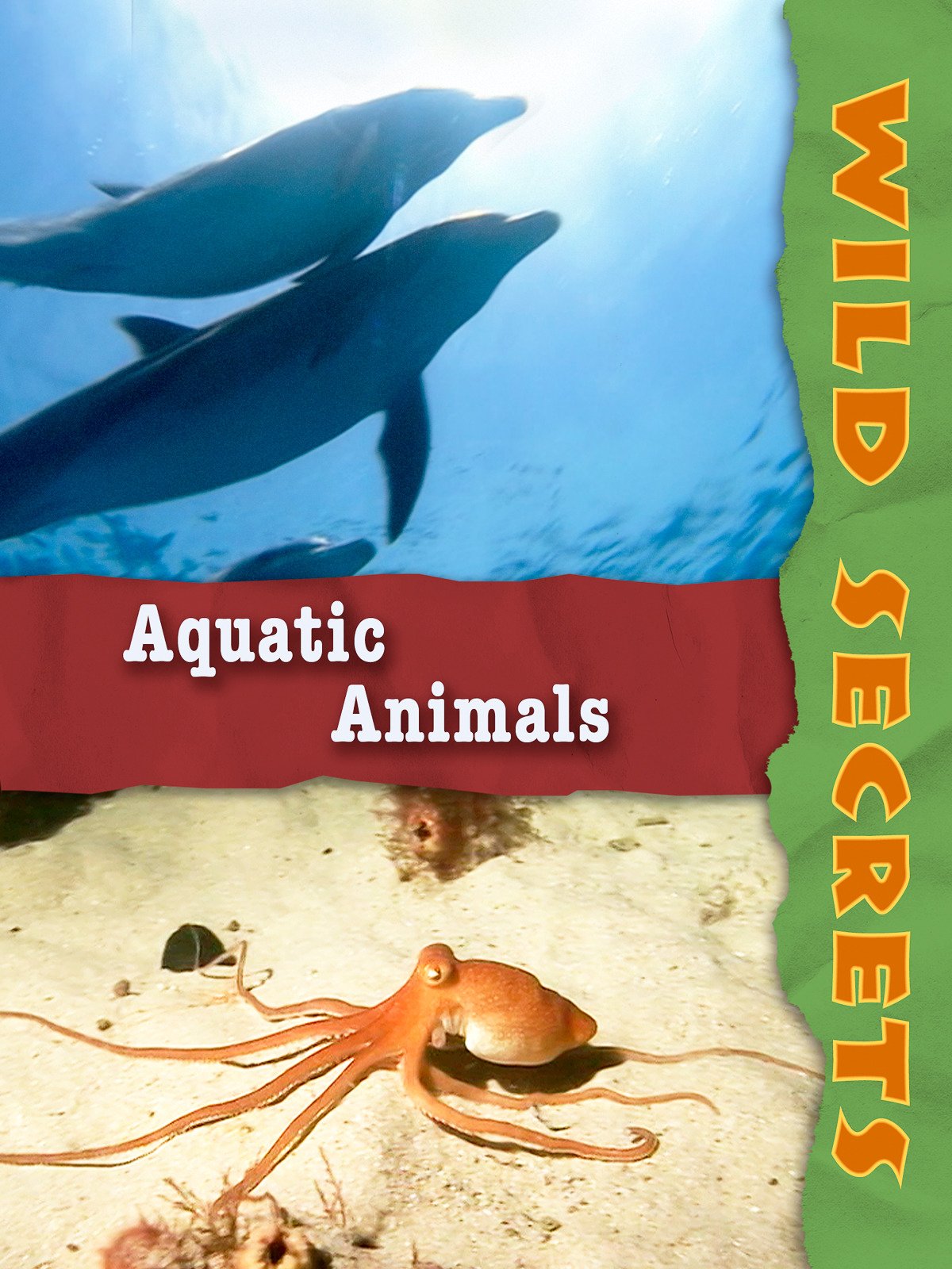 Watch Wild Secrets Aquatic Animals Prime Video