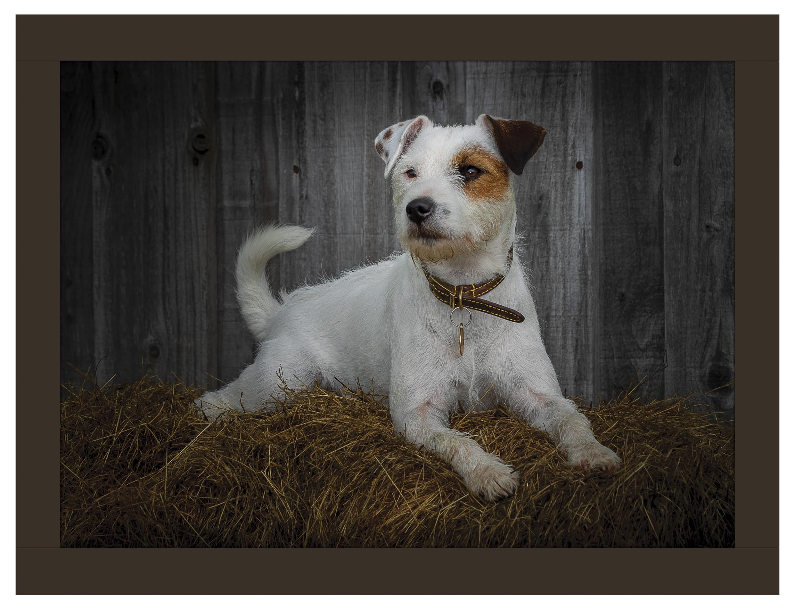 Jack Russell Faux Leather Lap Tray