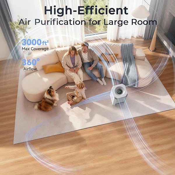 AFLOIA HUMIDIFIER FOR BEDROOM LARGE ROOM – MIST FREE EVAPORATIVE 2 IN 1 HUMIDIFIER AND AIR PURIFIER IN ONE COMBO FOR HOME WITH TOP FILL 5L TANK/HUMIDITY&AIR QUALITY SENSOR/2-24H TIMER