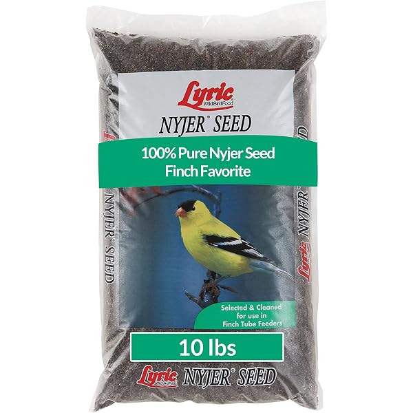 niger seeds coles