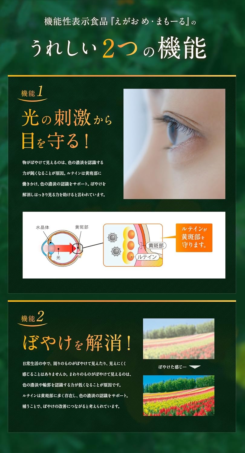 めまもーる 約11ヵ月分 機能性表示食品 えがお B07clp8q82 11袋 10袋 1袋 約11ヵ月分 11袋 10袋 1袋 1袋 62粒入り ルテイン 栄養補助食品 正規店仕入れの Trakstartractor Com