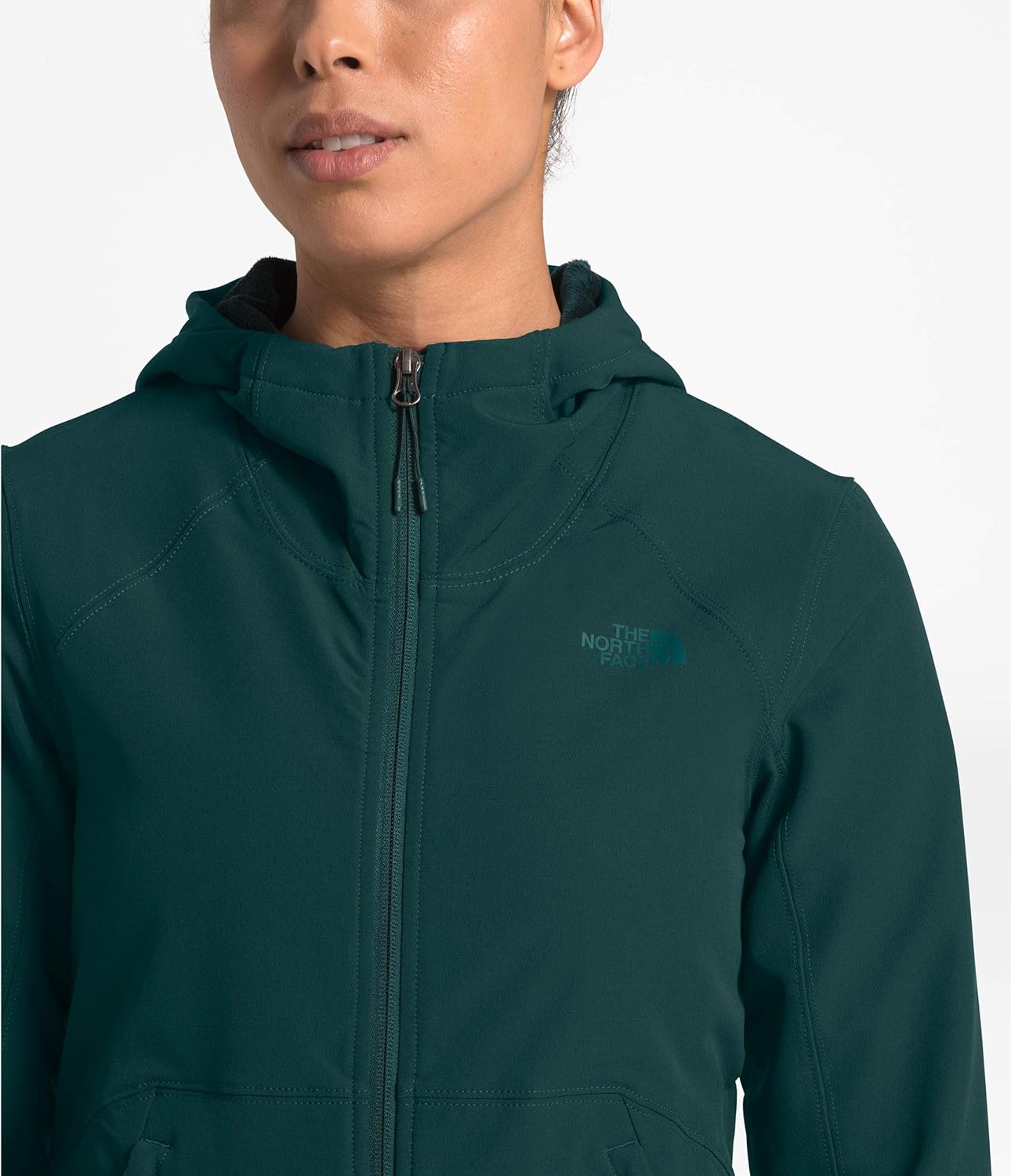 the north face women's shelbe raschel soft shell jacket