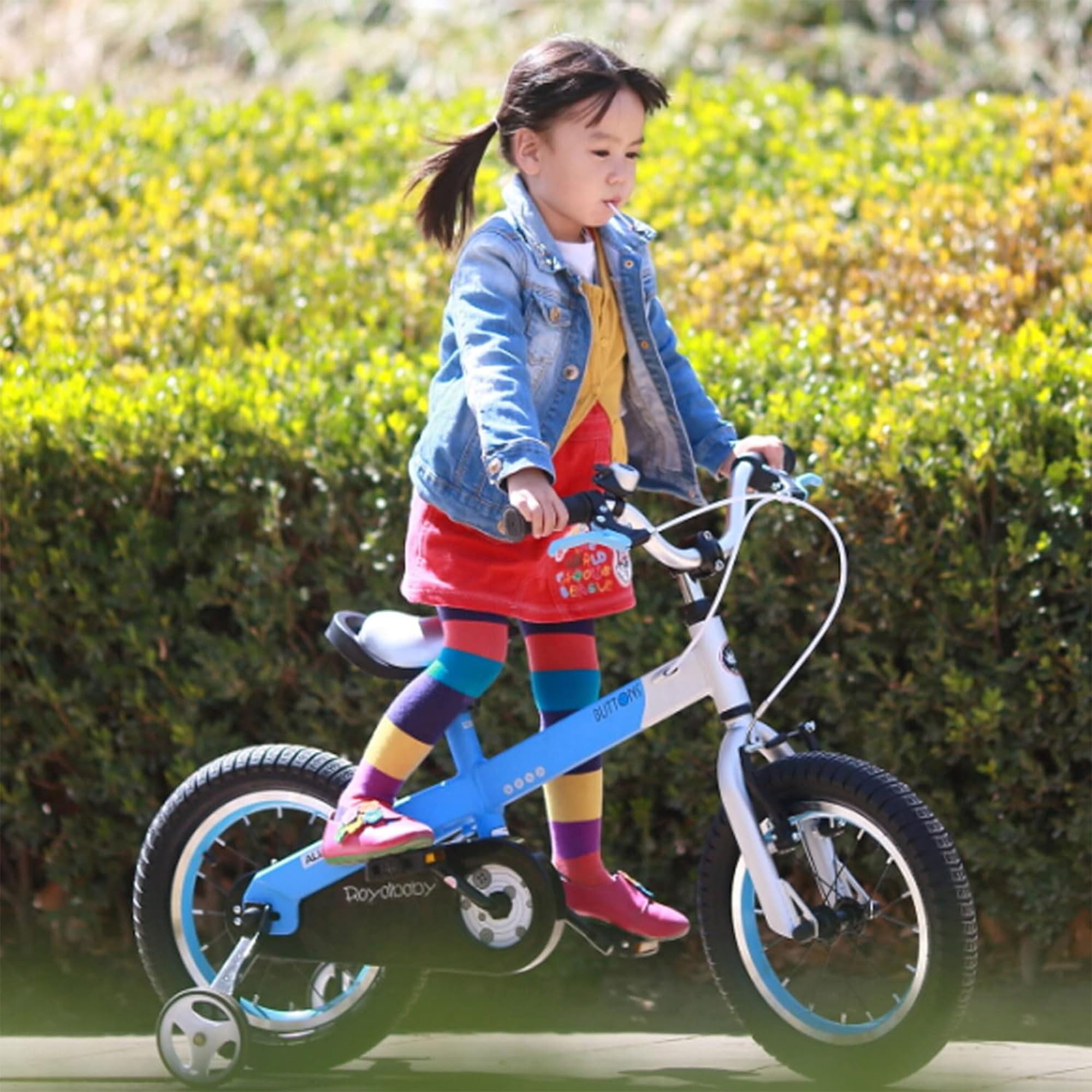 Royalbaby 子供用自転車キューブチューブ