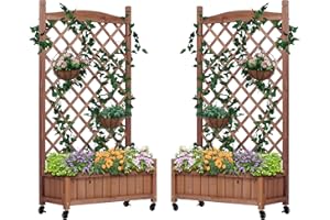 Wood-Natrl Raised Garden Bed with Trellies 2 Pack, Outdoor Wooden Planter Box & Plant Stand with Climbing Racks