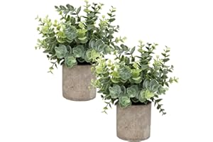 Flojery Mini Potted Plants Artificial Eucalyptus Boxwood Rosemary Faux Herbs Small House Plants 8.3"-9" Tall for Indoor Greenery Tabletop Décor Centerpiece (Sprayed Eucalyptus)