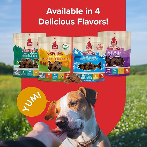 PLATO ORIGINAL REAL STRIPS ORGANIC CHICKEN 3OZ, NATURAL (850002221527)