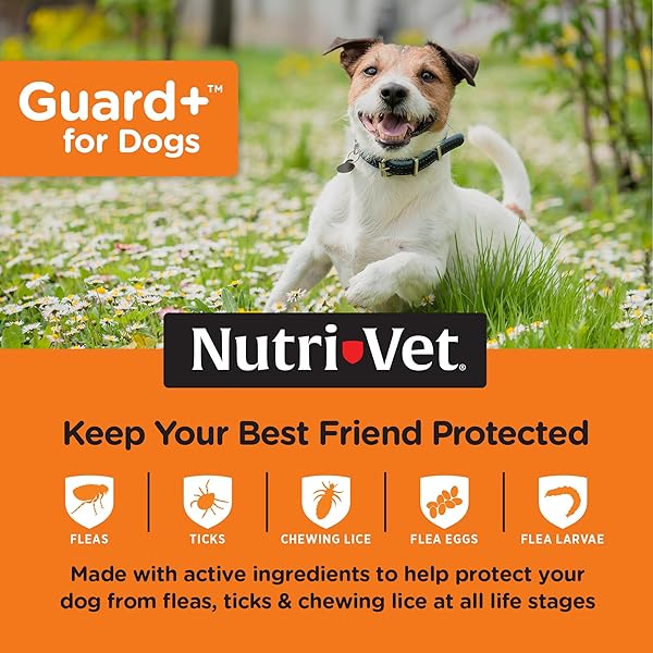 NUTRI-VET GUARD+ FOR DOGS – FLEA & TICK PREVENTION TREATMENT FOR DOGS 5-22 LBS. – WATERPROOF TOPICAL- 90 DAYS OF PROTECTION – 3 MONTHLY DOSES