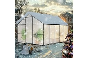 WUKHG 8×10FT Greenhouse for Outdoors, Large Walk in Greenhouse Kit and Winter Garden Planting, Enhanced Aluminum Green Houses for Outside Withstands Strong Wind or Heavy Snow to Protect Vegetables or Plants