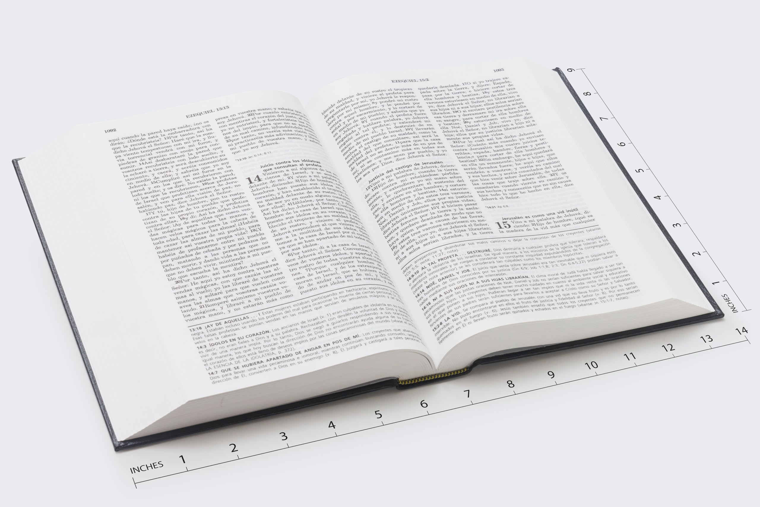 RVR60, Biblia de Estudio de la vida plena, Tapa Dura, Negro RVR60, Biblia de Estudio de la vida plena, Tapa Dura, Negro Hardcover Imitation Leather