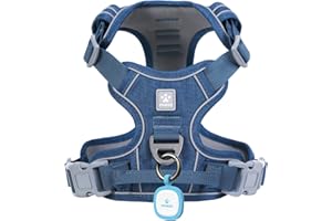 Pawaii Dog Harness, No Pull Dog Harness with Pet ID Tag, No Choke Front Clip Harness Dog, Adjustable Soft Padded Pet Vest with Easy Control Handle, Blue XS (Chest: 12"-17")
