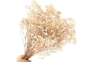 SONGJUM Dried Baby's Breath Flowers Bouquet 2000+ Natural Dried Flowers Baby's Breath Real Gypsophila Branches for Wedding Table Vase Party Garden DIY Wreath Floral Home Decor（Beige）