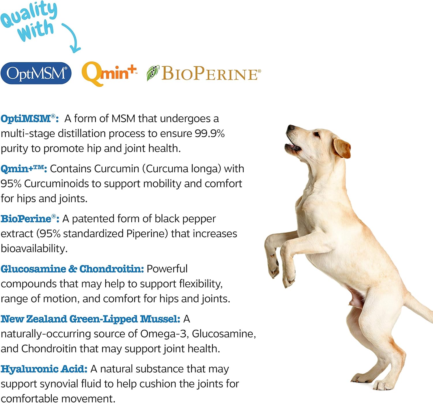 zesty paws senior advanced multivitamin for dogs