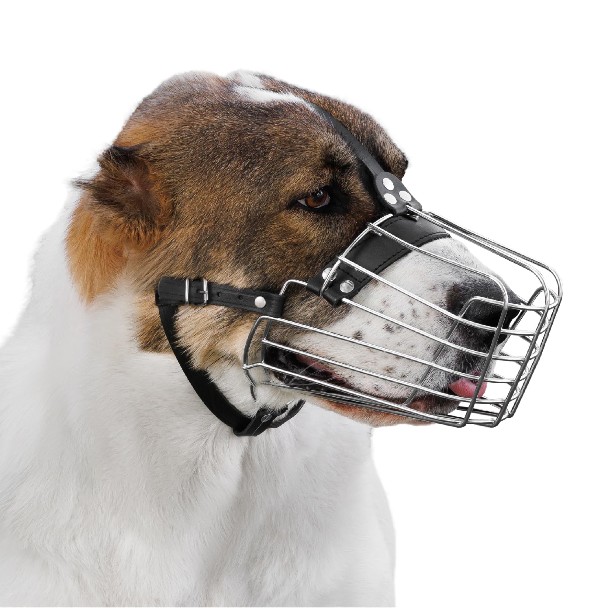 BRONZEDOG Dog Muzzle Wire Basket Metal Mask for Medium Large Dogs (Size 3: Alabai & Maremma)