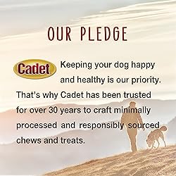 Cadet Stuffed Shin Bone, Long-Lasting Dog Chew