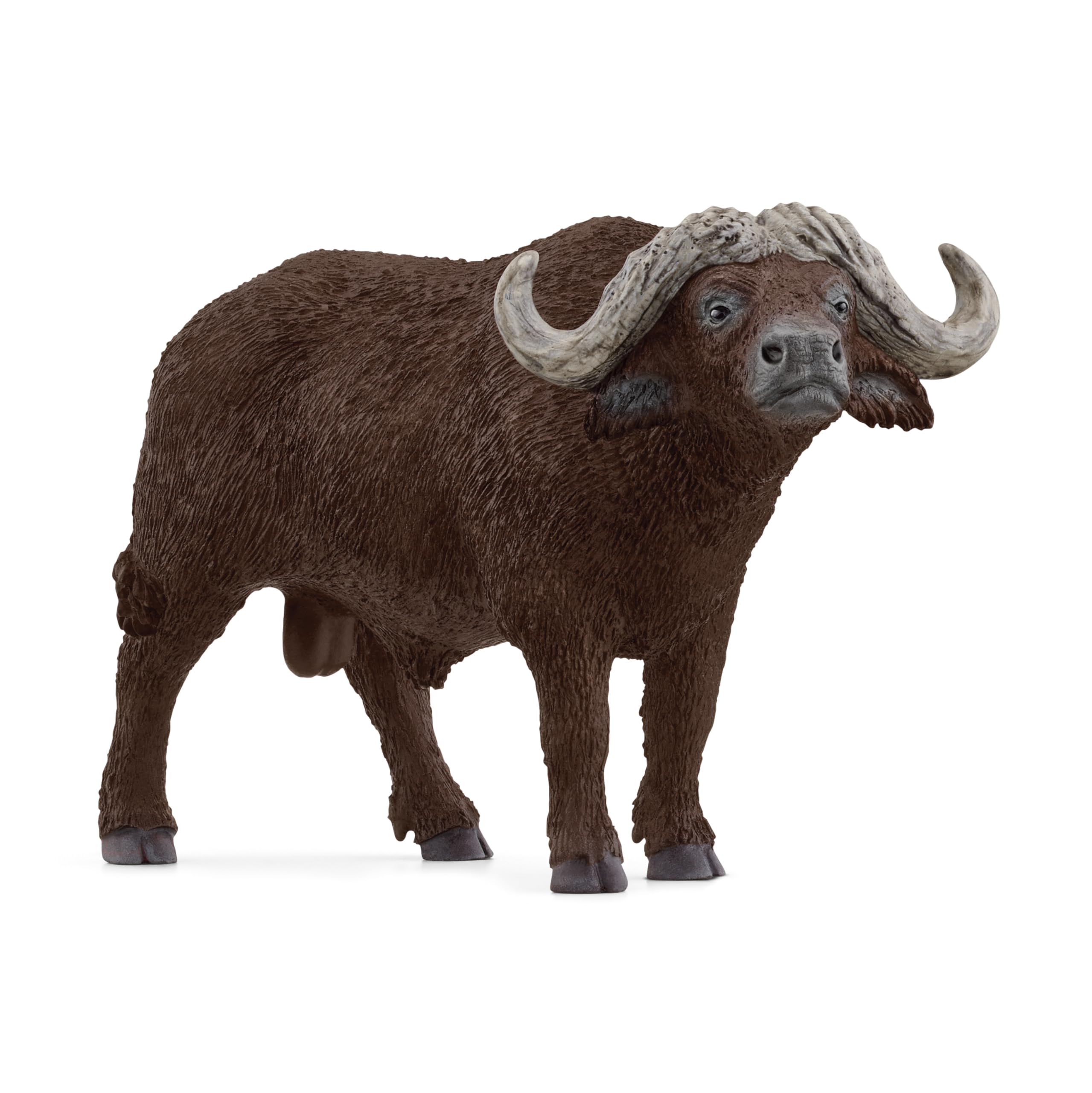 SCHLEICH 14872 African Buffalo, from 3 years WILD LIFE - Figurine, 4 x 13 x 7 cm
