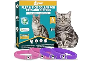 YOTANGO 4 Pack Flea Collar for Cats, Cat Flea and Tick Collar 8 Months Cat Flea Collar Treatment Prevention, Adjustable Waterproof Cat Flea Collar Kitten Natural Tick and Flea Collar for Cat (Pink&Purple)