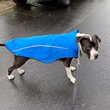 Mile High Life Dog Raincoat Adjustable Water Proof Reflective Blue M view 9