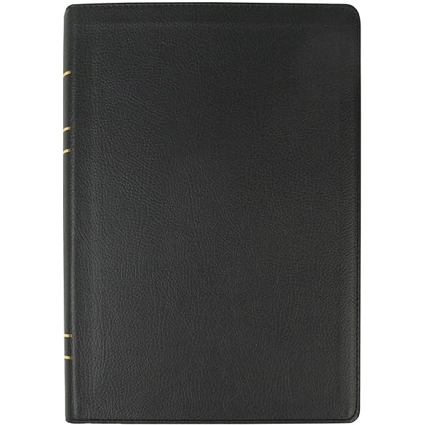 LSB Holy Bible, Handy Size, Black Imitation Leather: Legacy